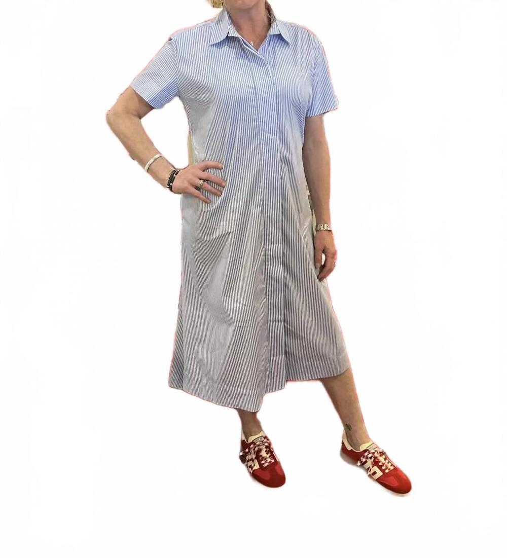 NEW CARYN LAWN millie dress long in blue stripe